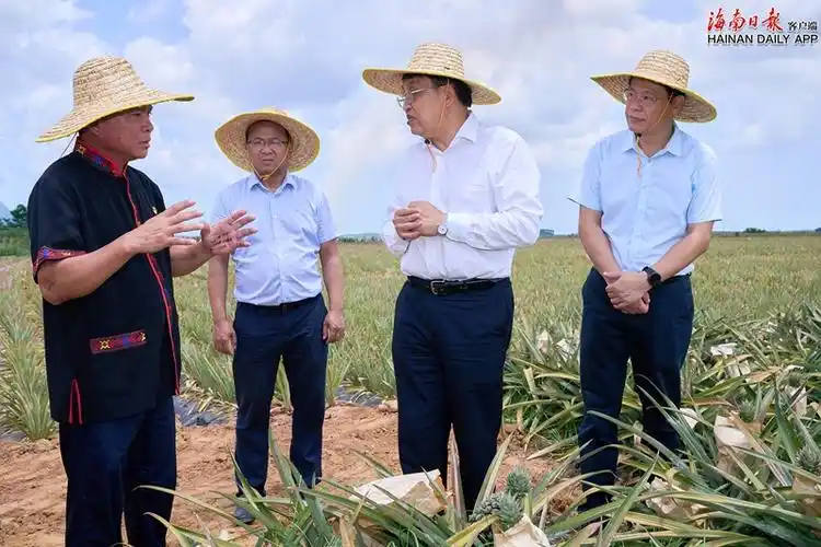 5月17日,省委书记冯飞在昌江黎族自治县调研经济社会发展情况.