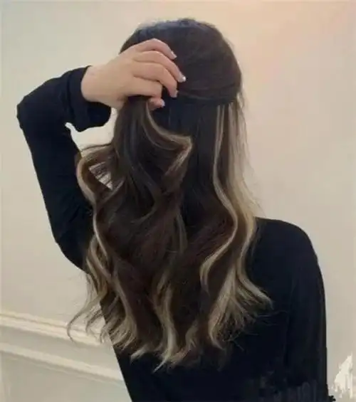 挑染|发型|头发|发色