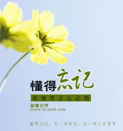 学会忘记 懂得放弃