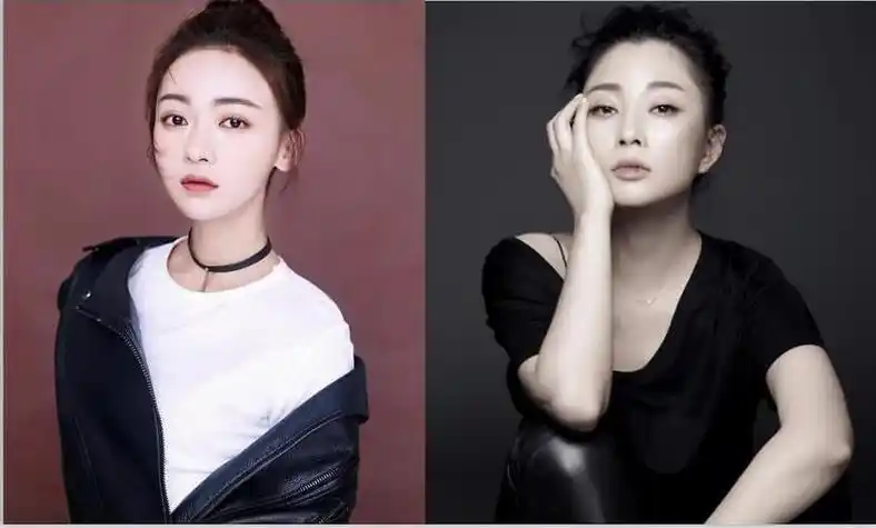 殷桃吴谨言主演的电视剧