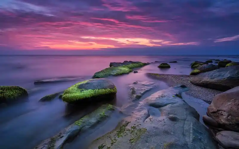 美丽的海景,日落,石头,青苔,黄昏 壁纸