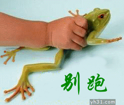 小青蛙你别跑,我把你抓住了