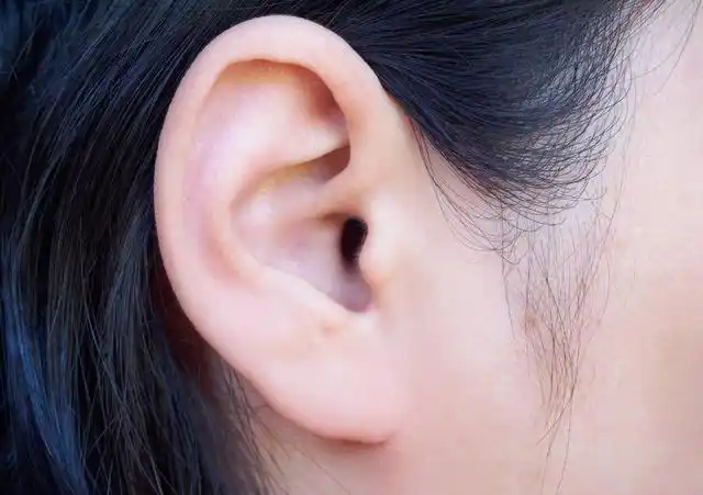 耳朵趣闻:有穷人耳和富人耳吗?有没有什么依据呢?