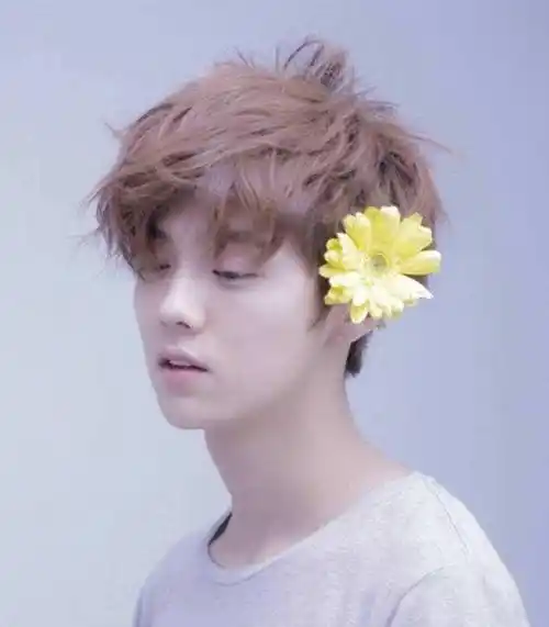 鹿晗曾是"exo"成员之一,现如今也是当红的一枚影星,不但唱跳能力根本