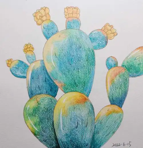 彩铅仙人掌马可彩铅@marco马可#马可作品打卡  #彩铅绘画  #绘画日常