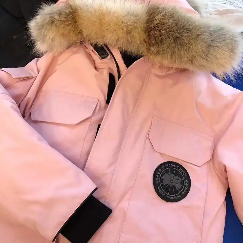 加拿大～大鹅～大爱粉色～单寻价