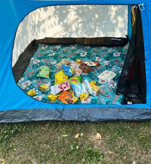 干饭干饭零食一买小帐篷一搭感觉就来了