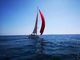 奥运会帆船图片