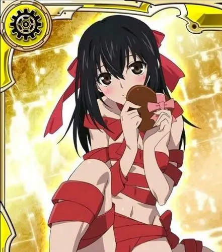 雪狼剑巫姬柊雪菜图包