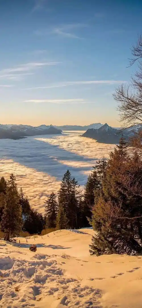 壁纸| 高清4k无水印全面屏高级感壁纸