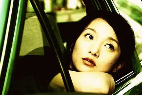 只爱陌生人为什么要谈恋爱