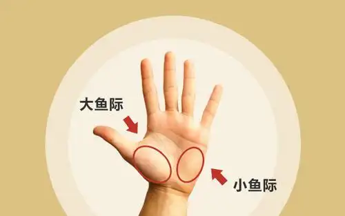 大鱼际穴位揉法大鱼际的功效作用