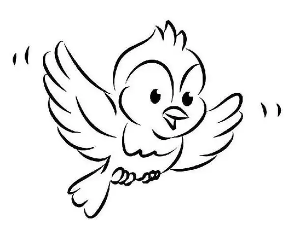 正要飞翔的小鸟简笔画头向右 简笔画图片大全-蒲城教育文学网