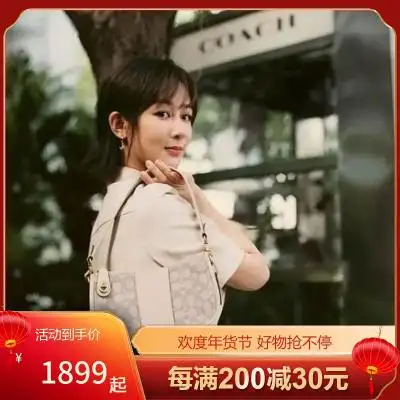 蔻驰(coach) 女包 swinger 20 杨紫同款 经典手袋单肩手提复古时尚