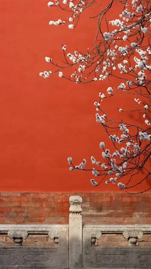 唯美故宫红墙映花影