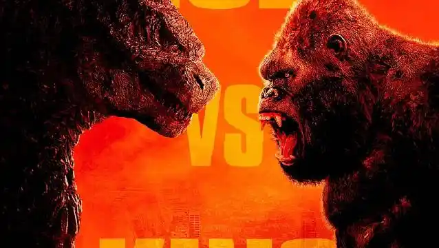 655次播放           :00