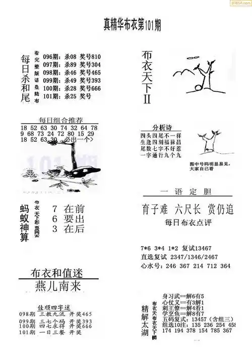 101期今天3d会员布衣精华早报真精华布衣123456