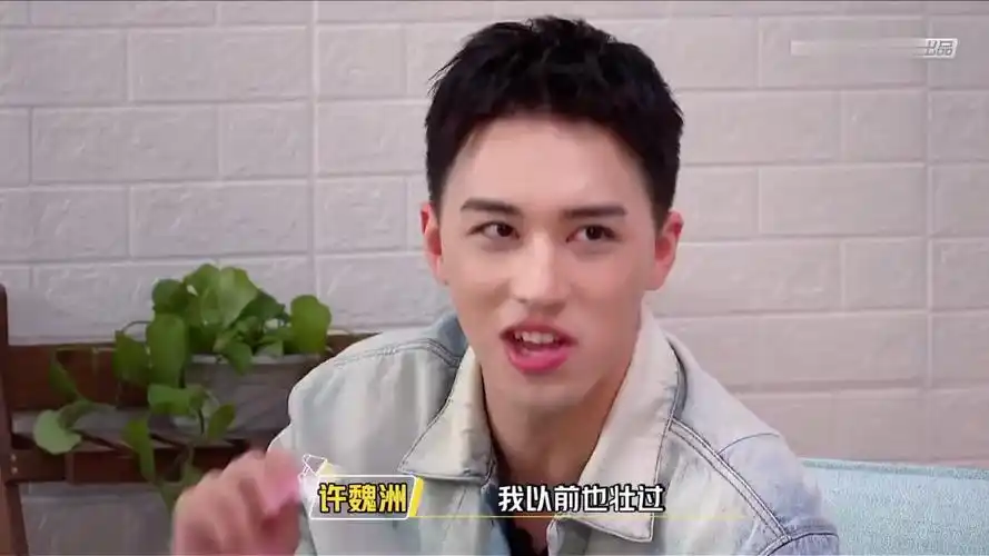 视频:内涵柴鸡蛋?许魏洲回应:如对号入座就此打住