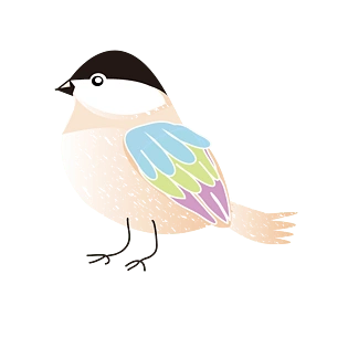 卡通可爱小鸟图片大全