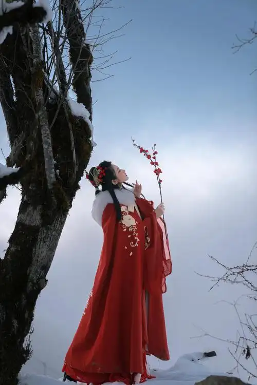 熙凤汉服女原创斗篷秋冬款加绒大毛领中国国风汉服