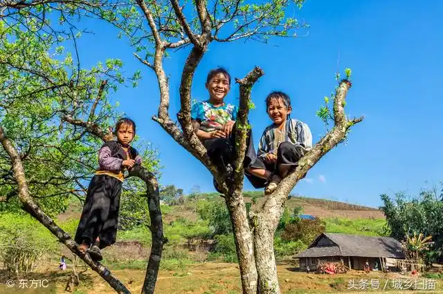 农村孩子的快乐,城里孩子永远不懂,这些举动你小时候做过吗?
