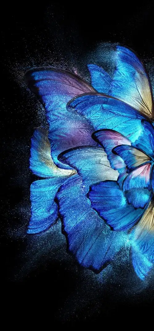 vivo x fold 蝴蝶 内置高清3k全面屏壁纸原图1440x3080_4k手机壁纸