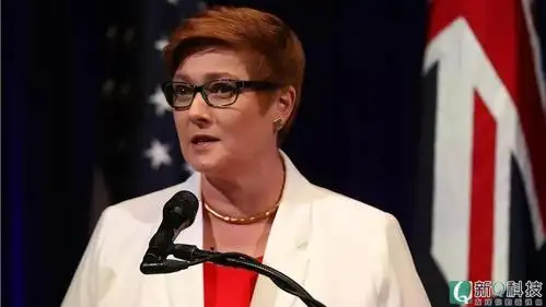 玛丽斯·佩恩文章称,澳大利亚内政部长玛丽斯·佩恩回绝就拟议中的