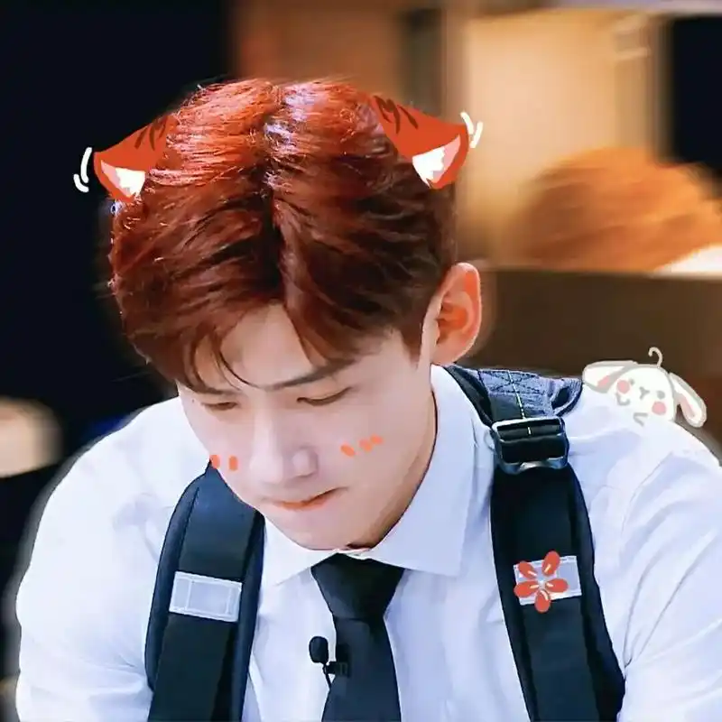 爱豆头像白敬亭