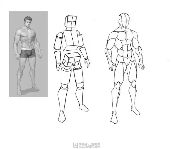 《动漫插画之男性人体肌肉解析》by 暴走猪肉佬