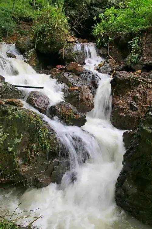 遂昌的云雾美,山水美和竹林美