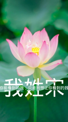 姓宋- 堆糖,美图壁纸兴趣社区