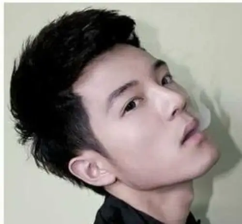 2014年男士新发型流行两侧修短头顶留发,图片给参考希望好评.