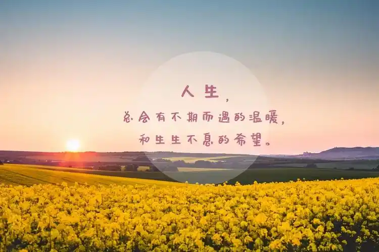 回想往事的句子伤感(分享10条回想起往事的说说 )_力贝号