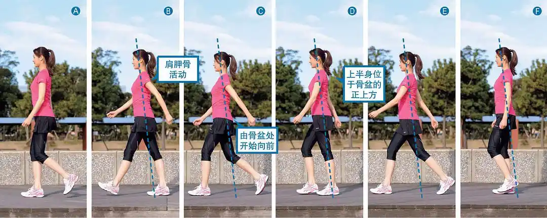 每个人都有各自的走路习惯,却极少认真审视自己的走路姿势是否正确.