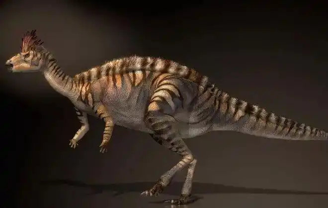 dryosaurus橡树龙属桔灯勘探化石发现地:自由州(rsa)和西北(rsa)等地