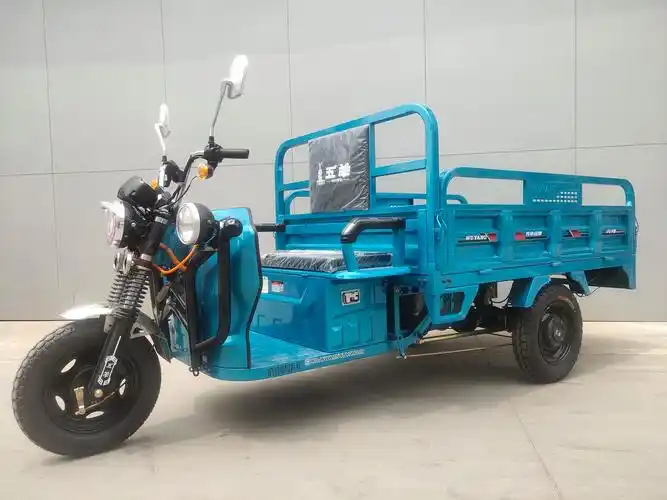 五羊牌wy1500dzh6c电动正三轮摩托车