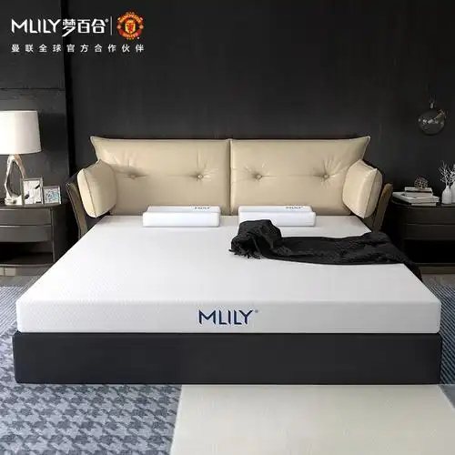 mlily梦百合酒店零压房床垫竹炭记忆棉升级护脊厚垫软垫18m双人加厚