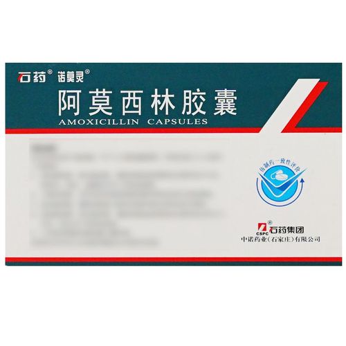 石药 阿莫西林胶囊 0.25g*50粒/盒 连锁药房正品保证急速发货