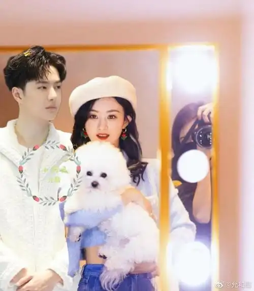 赵丽颖王一博同居赵丽颖王一博王炸姐弟