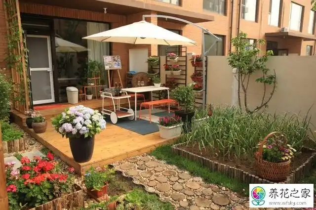 40平米的院子怎么布局种花草