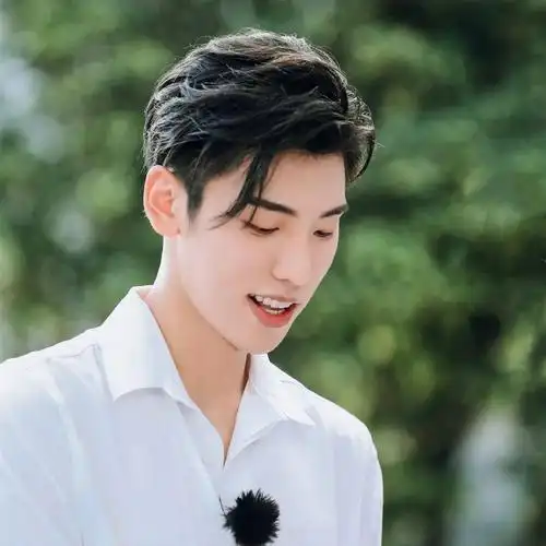 微信头像王子异