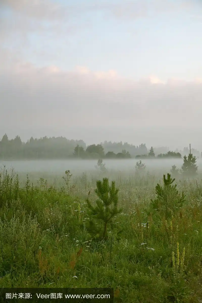 早晨,安静,自然,垂直画幅,无人