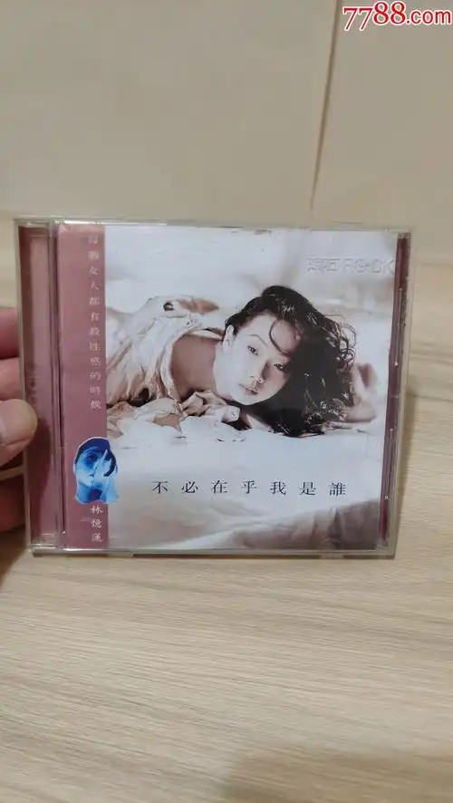 林忆莲不必在乎我是谁