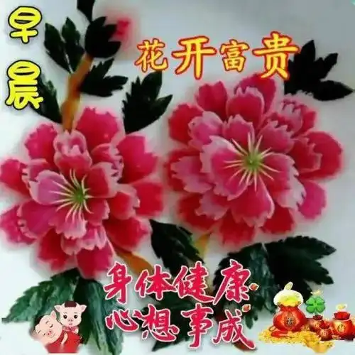 中老年早上好表情包最新早上好特漂亮的祝福图片朋友圈温馨的早上好