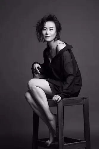 《海上浮城》摘国际大奖 邬君梅再登电影高峰