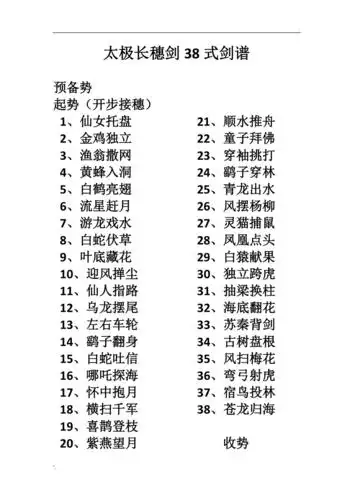 太极长穗剑38式剑谱_第1页
