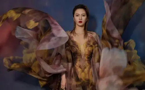 谭维维绚烂迷人写真图片桌面壁纸