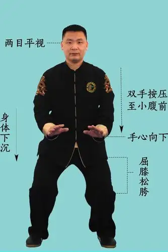 陈式74式太极拳第一段