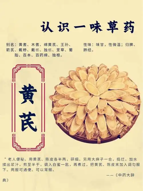 认识黄芪的用法
