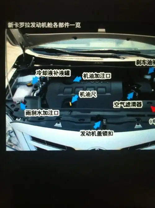 我给你发个丰田卡罗拉的 你的什么车型?我发给你看 评论